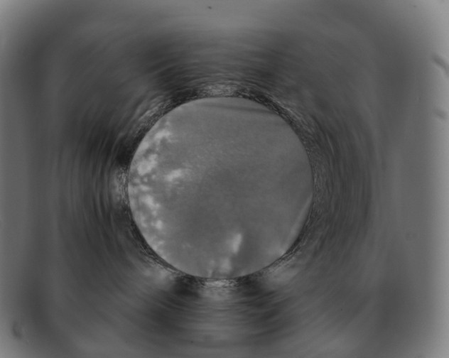 X0000091490240200709131836
