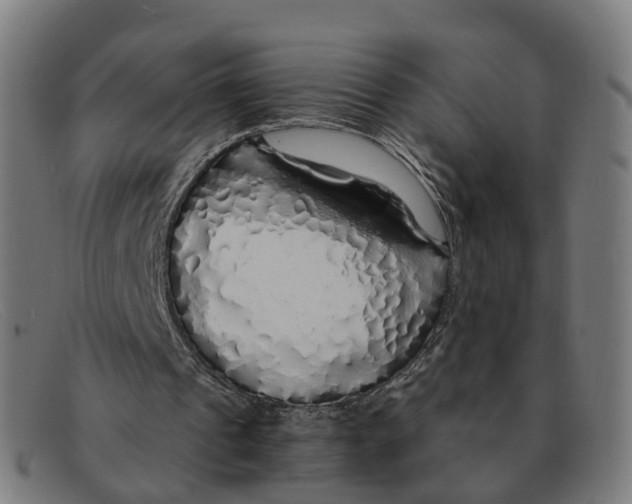 X0000091490241200709131836