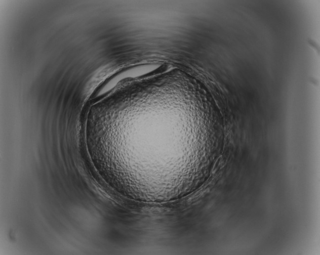 X0000091490242200709131836