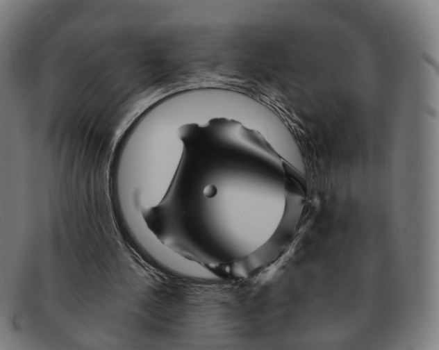 X0000091490244200709131836