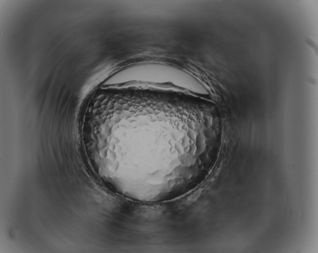 X0000091490245200709131836
