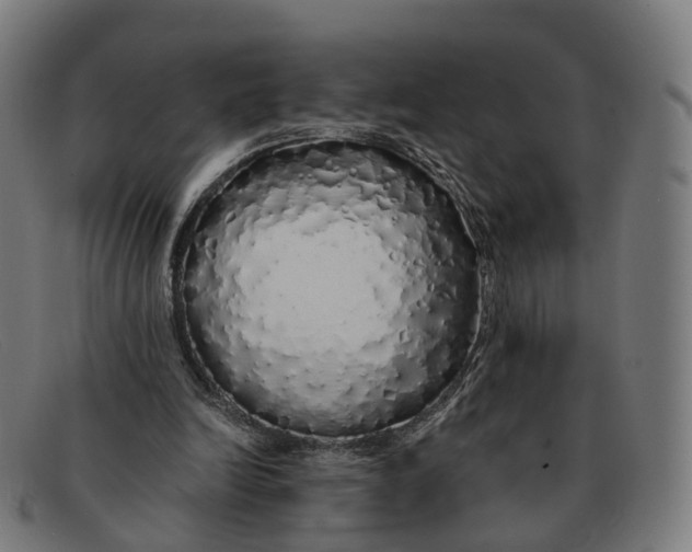 X0000091490246200709131836
