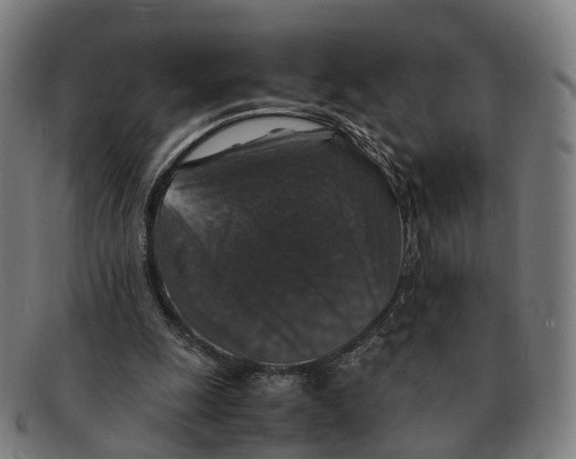 X0000091490247200709131836