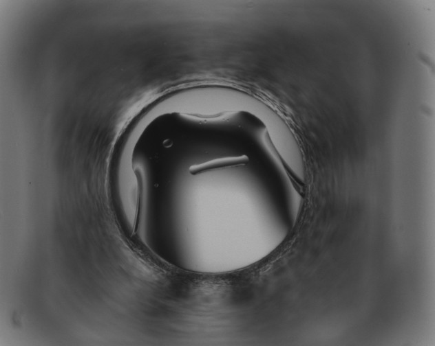 X0000091490248200709131836