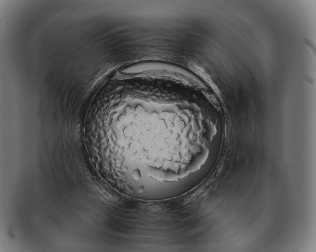 X0000091490249200709131836