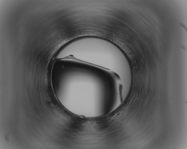 X0000091490252200709131836