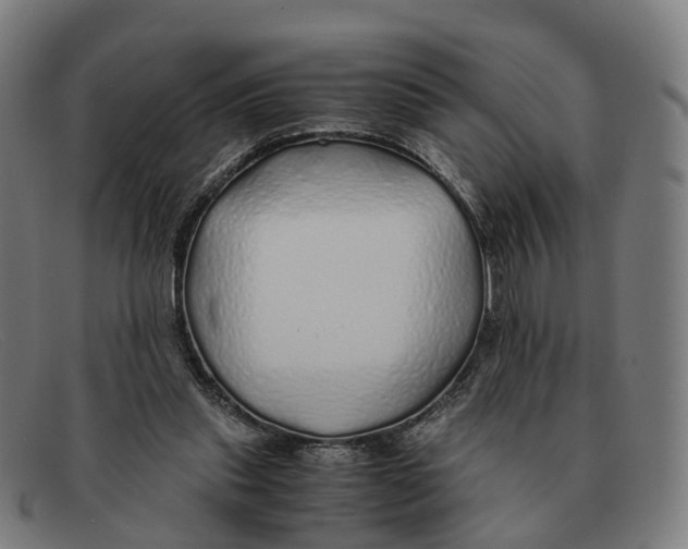 X0000091490253200709131836
