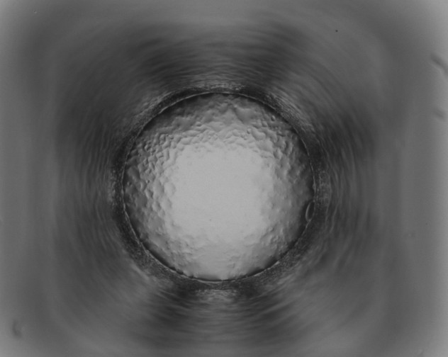 X0000091490255200709131836