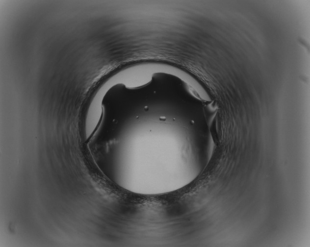 X0000091490256200709131836