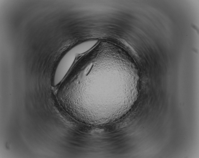 X0000091490257200709131836