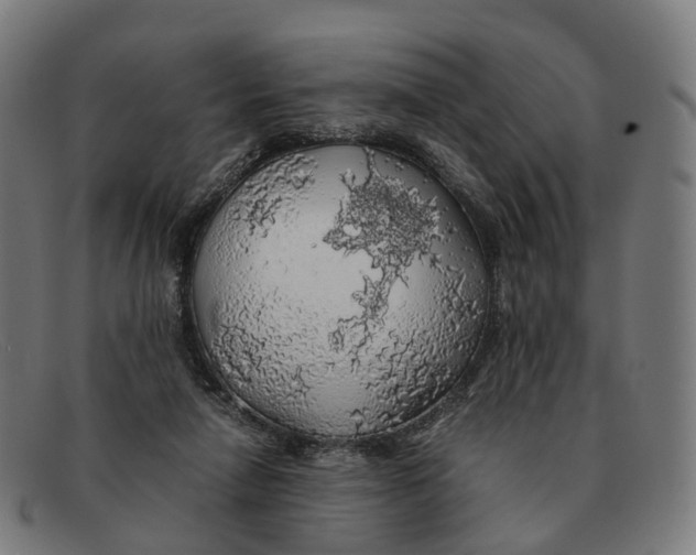 X0000091490258200709131836
