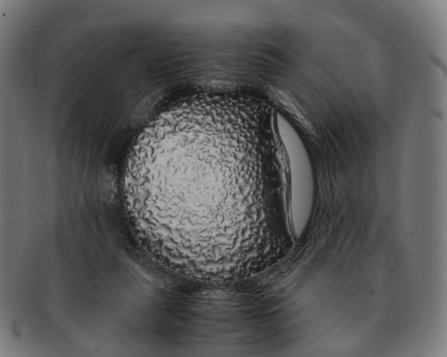 X0000091490259200709131836