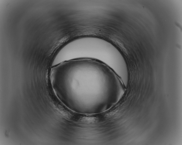 X0000091490260200709131836