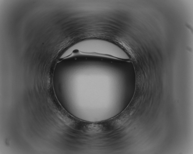 X0000091490261200709131836