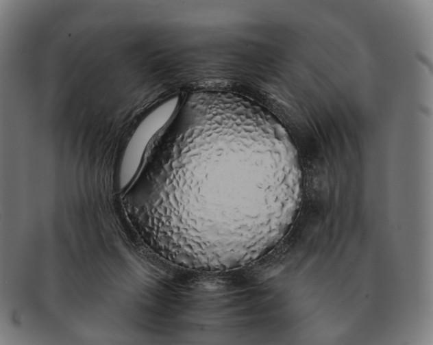 X0000091490263200709131836