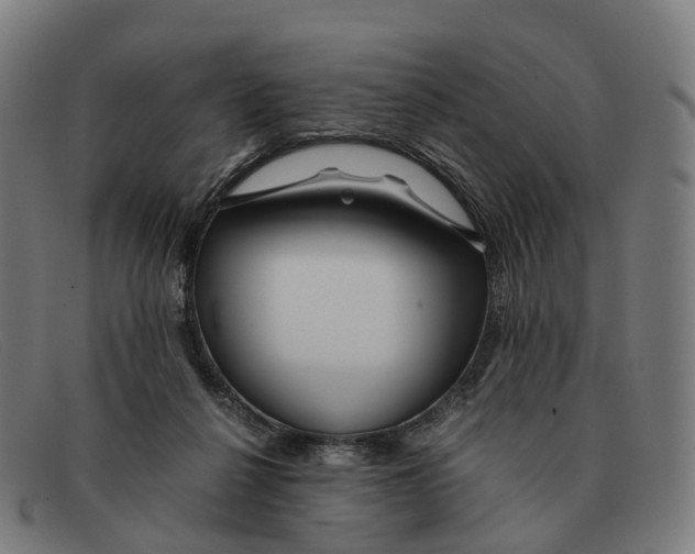 X0000091490264200709131836