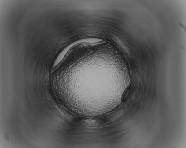 X0000091490265200709131836