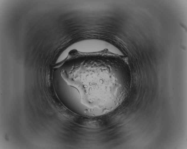 X0000091490267200709131836