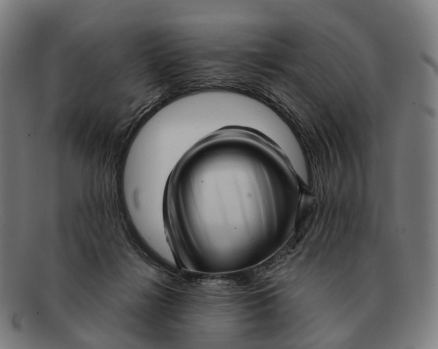 X0000091490268200709131836
