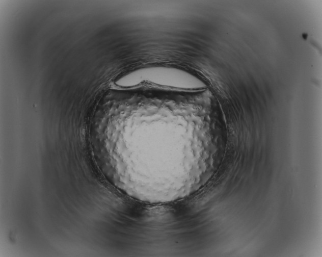 X0000091490269200709131836