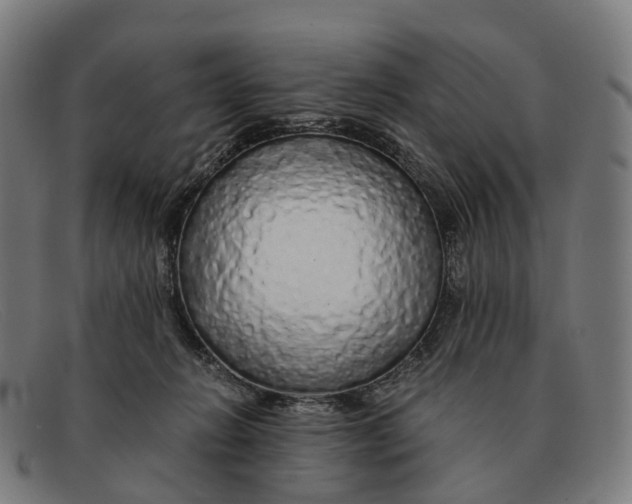 X0000091490270200709131836