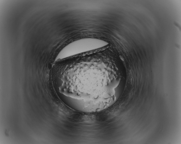 X0000091490271200709131836