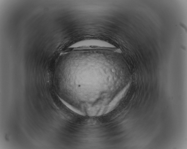 X0000091490272200709131836