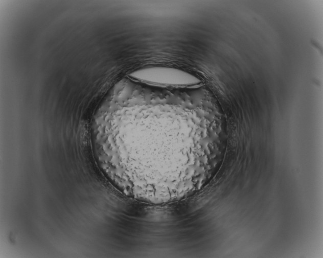 X0000091490273200709131836