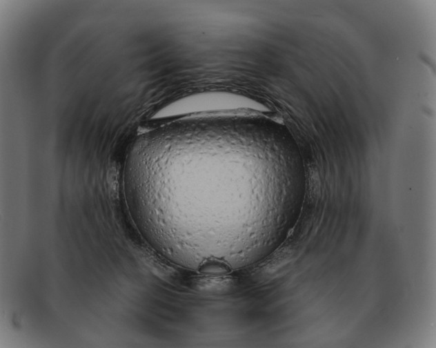X0000091490274200709131836