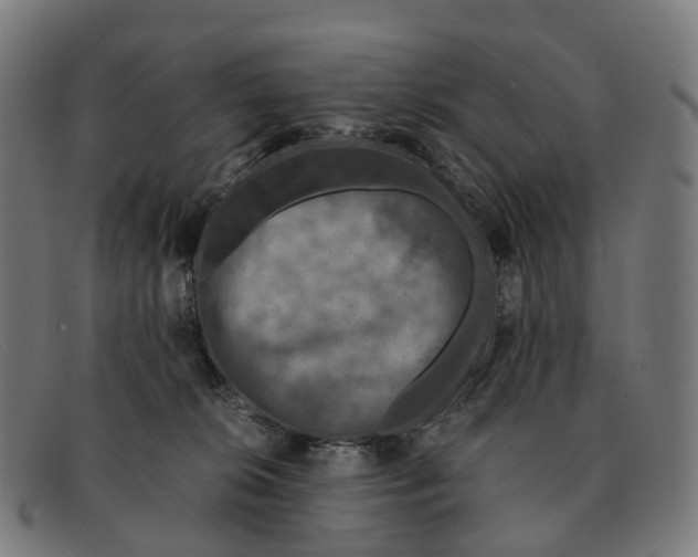 X0000091490276200709131836