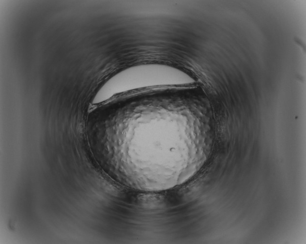 X0000091490277200709131836