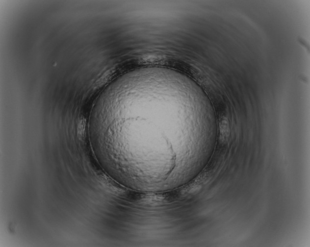 X0000091490278200709131836