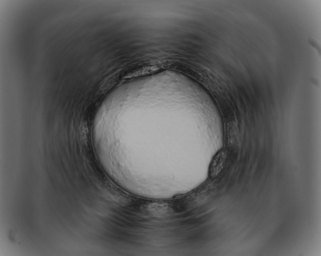 X0000091490279200709131836