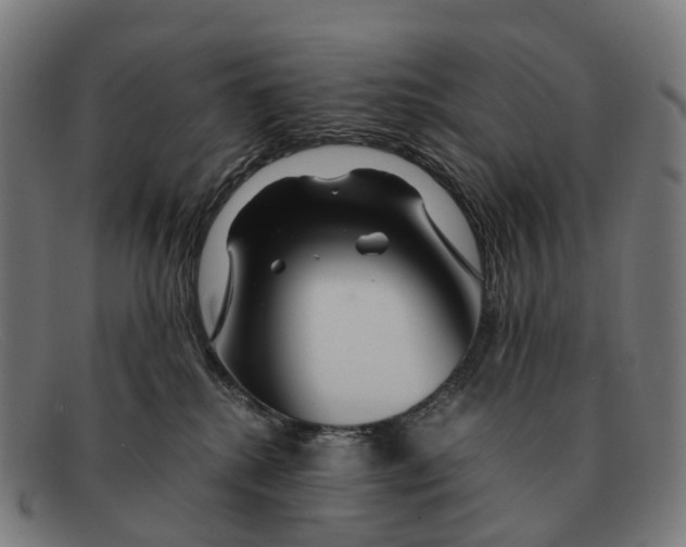 X0000091490280200709131836