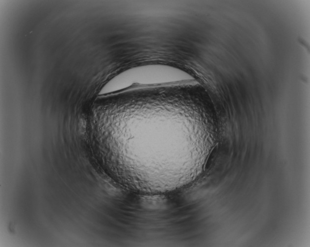 X0000091490281200709131836