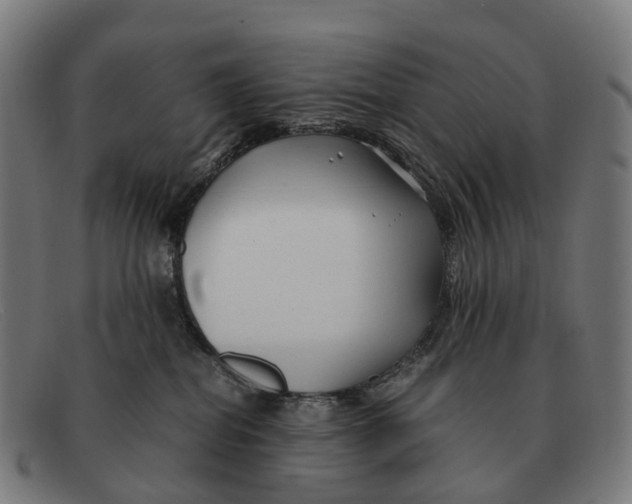 X0000091490282200709131836