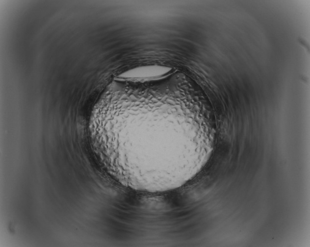 X0000091490283200709131836