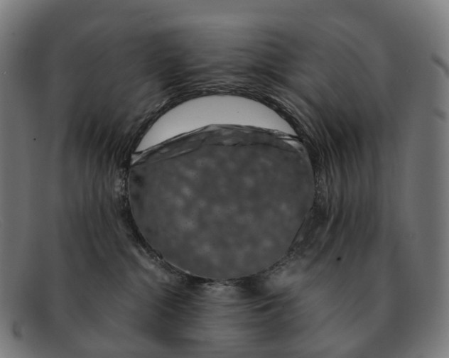 X0000091490284200709131836