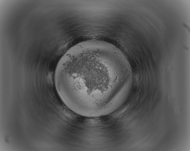 X0000091490286200709131836