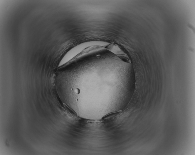 X0000091490288200709131836