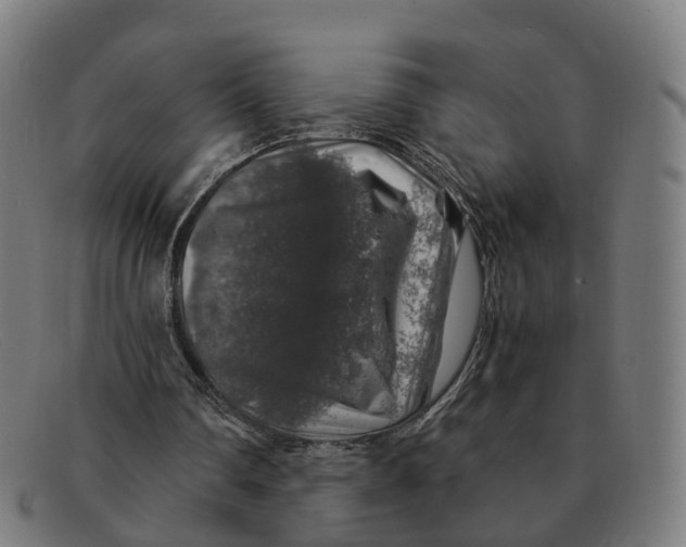X0000091490290200709131836