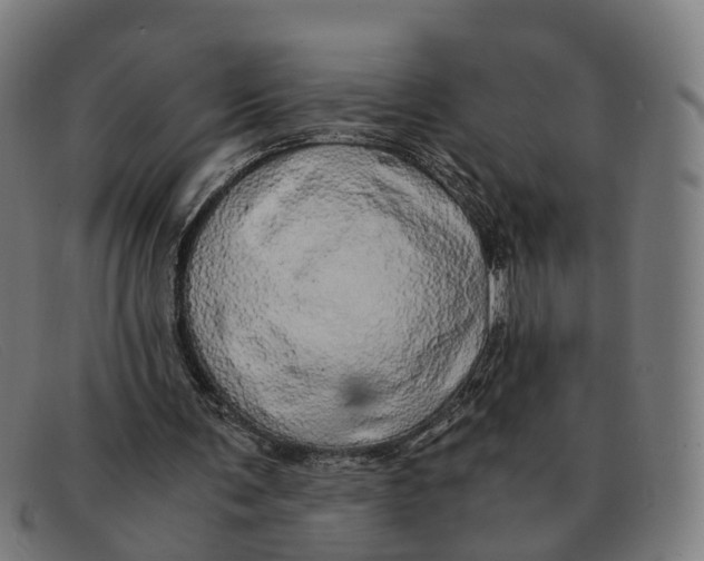 X0000091490291200709131836