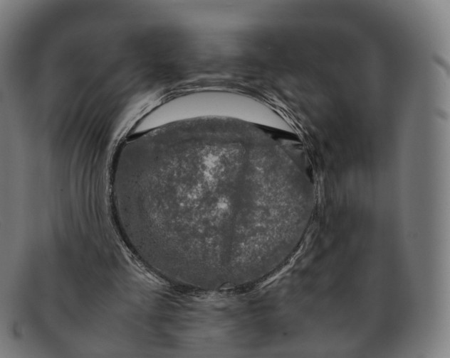 X0000091490293200709131836