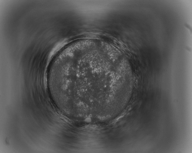 X0000091490294200709131836