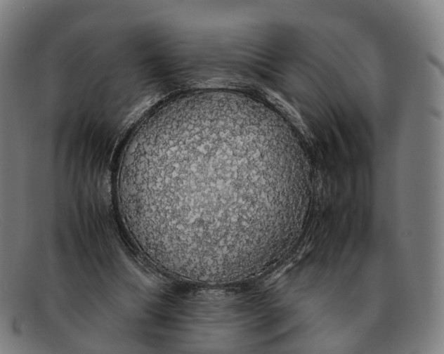 X0000091490298200709131835