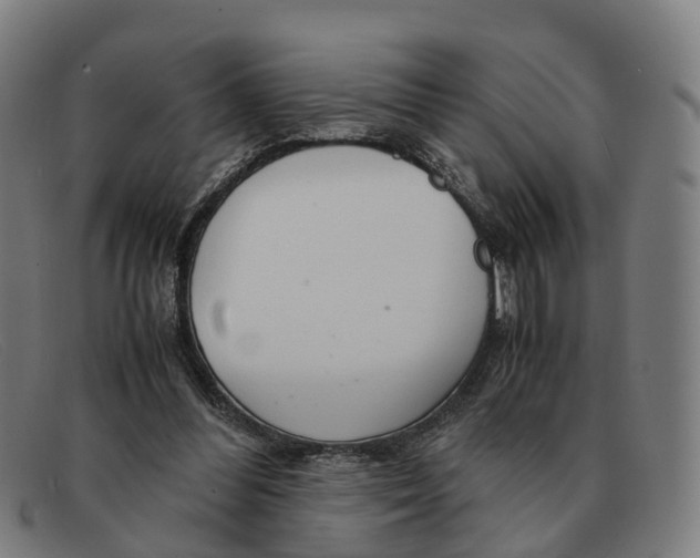 X0000091490300200709131835