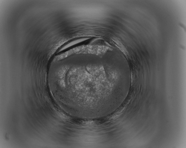 X0000091490301200709131835