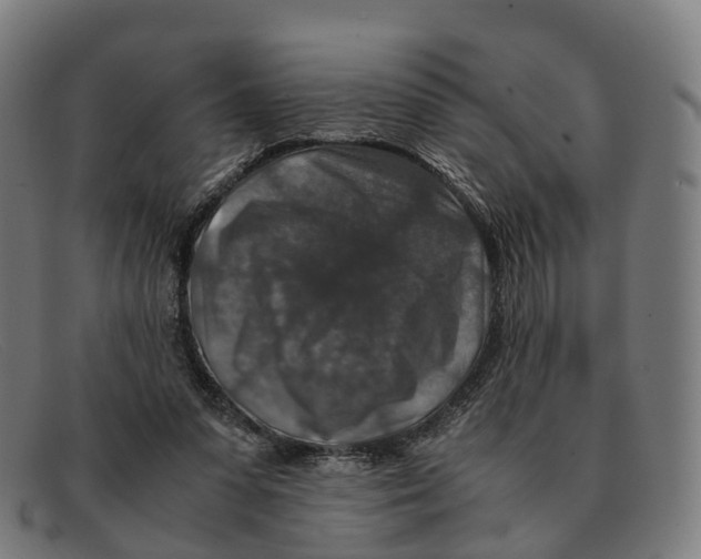 X0000091490303200709131835
