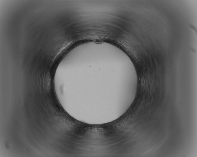 X0000091490304200709131835