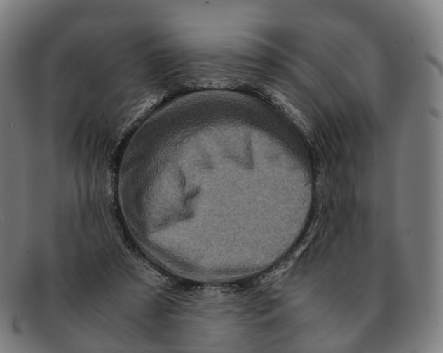 X0000091490305200709131835